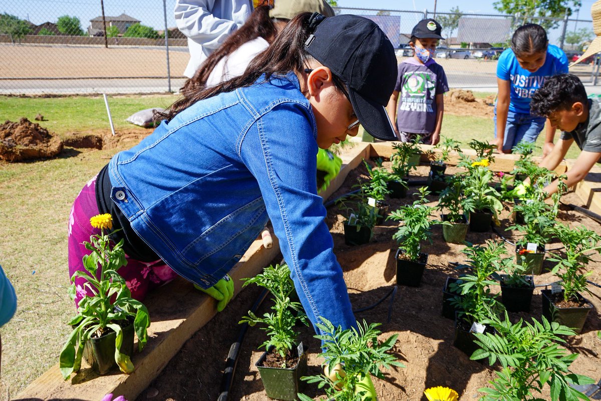 PdNH Foundation tweet media