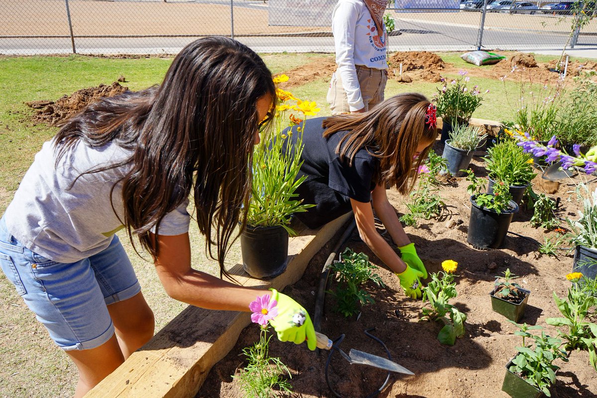 PdNH Foundation tweet media