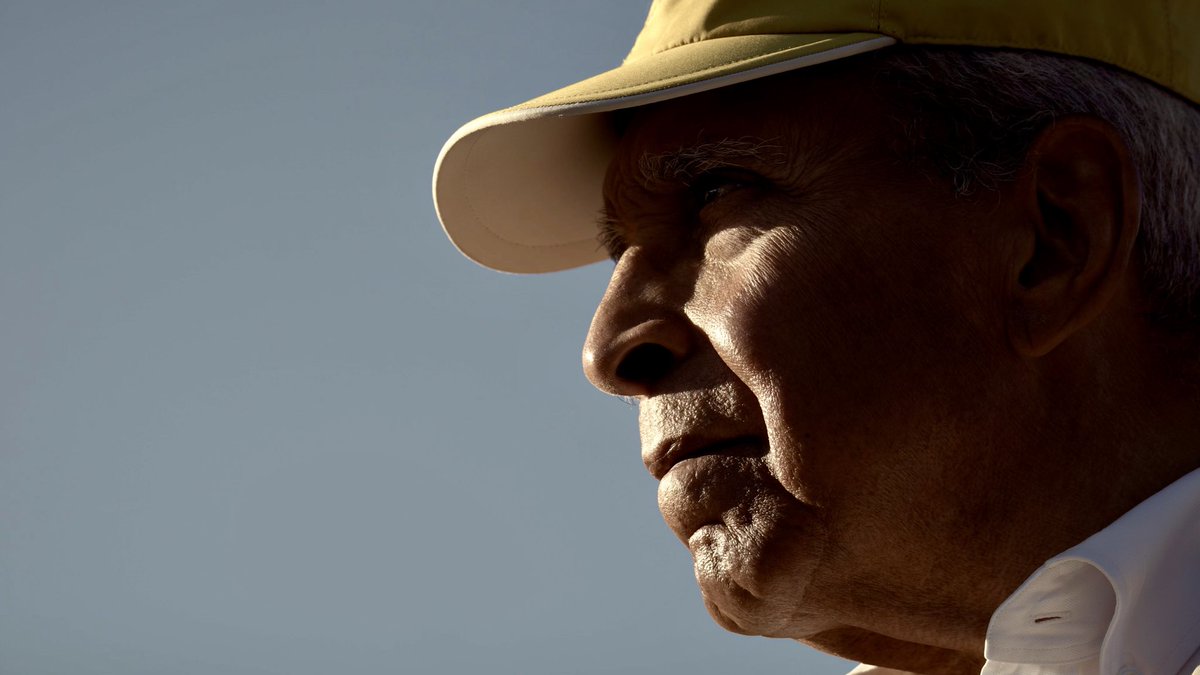 Eli Steele tweet media