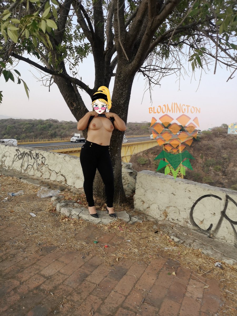 DENISSE BLOOMINGTON tweet media