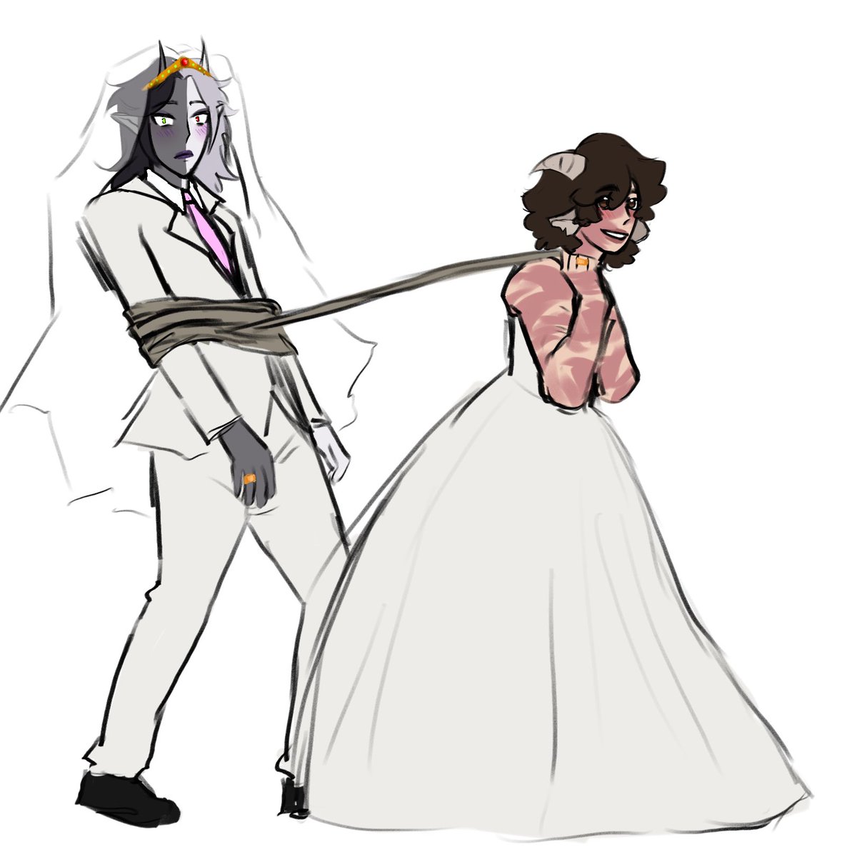 frank 🌙 tweet media