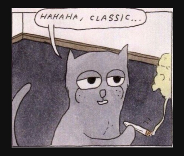 Max Tesla tweet media