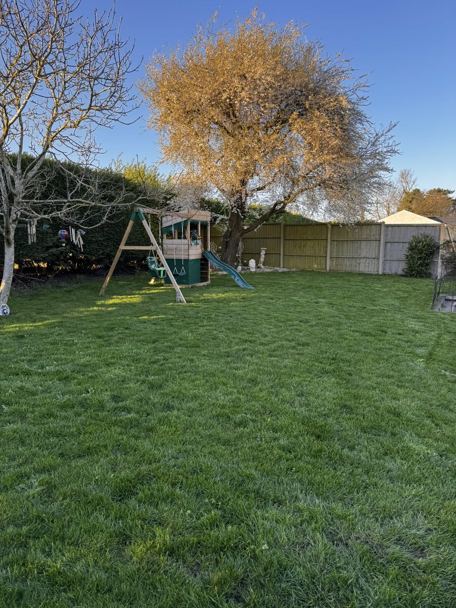 DH Maintenance tweet media