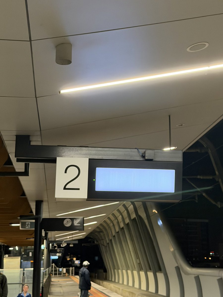 HighCapacityHayden tweet media