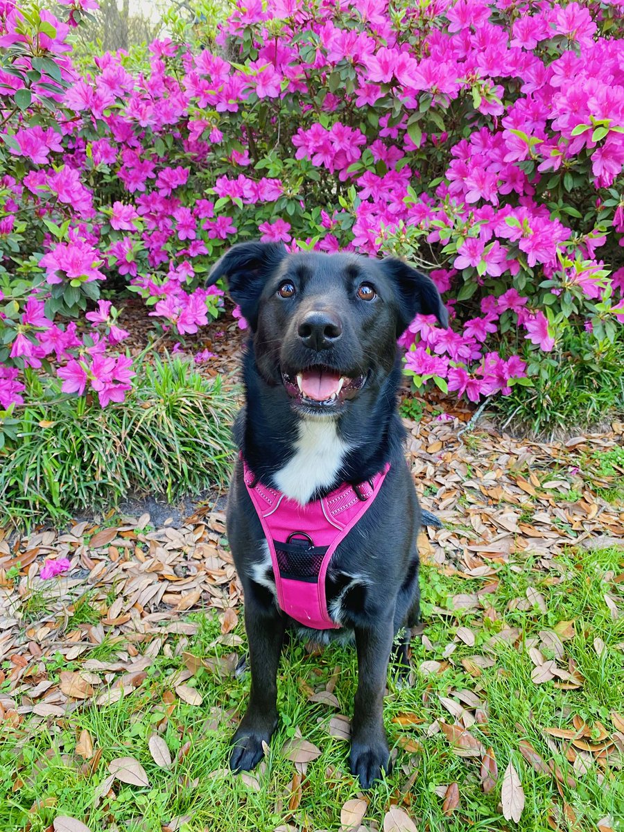 Blair Bailey | UGC Creator tweet media