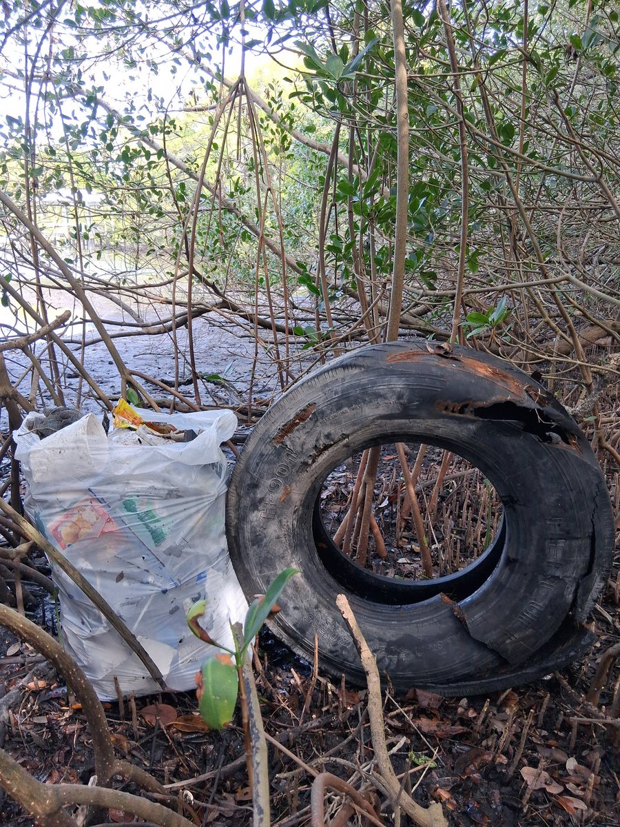 TommyPicsUpTrash tweet media