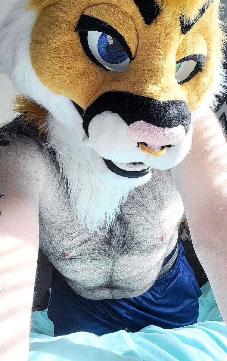 Riley Winters❄️⛄️ tweet media