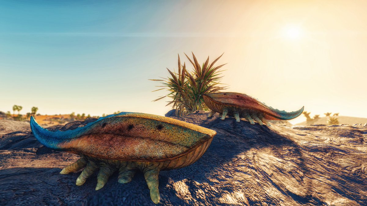 Jessica-Star ✨ tweet media