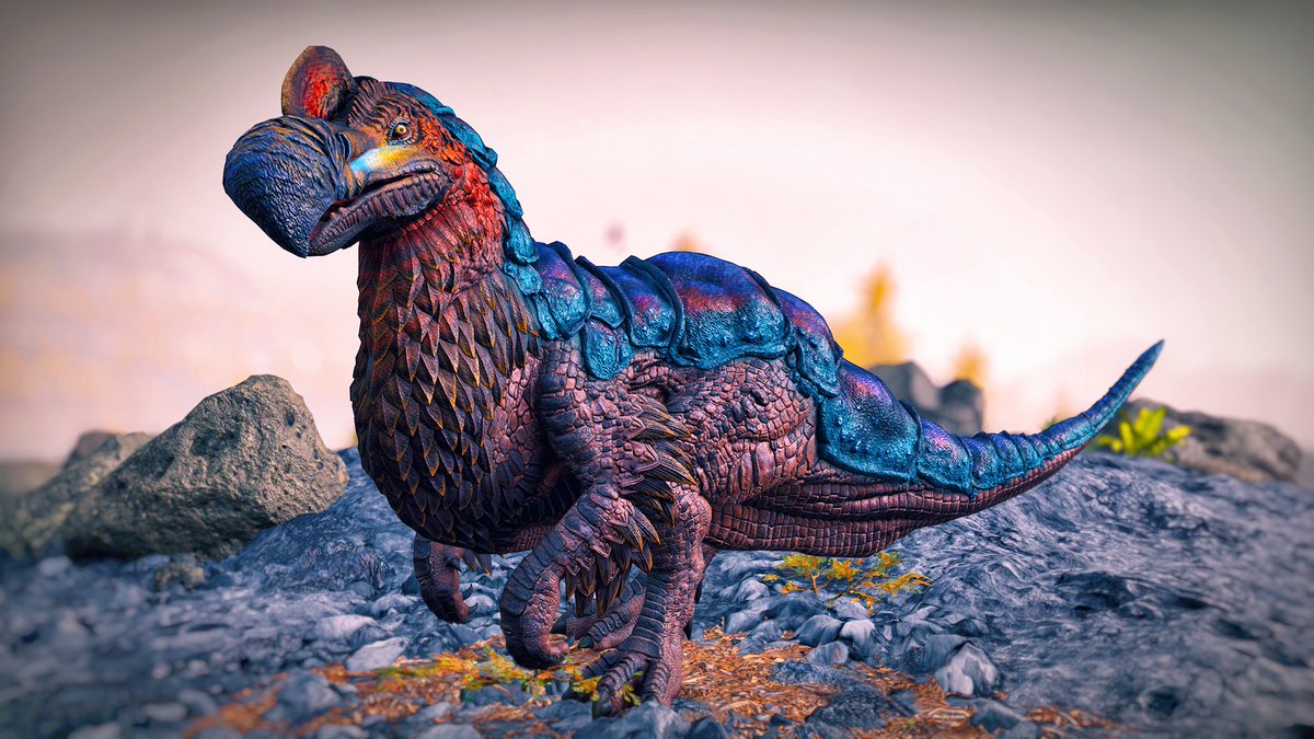 Jessica-Star ✨ tweet media