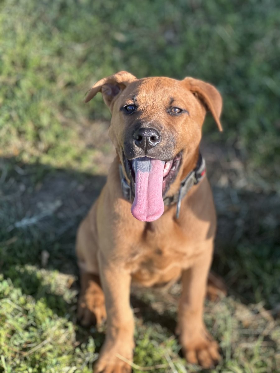 Fred J. Robledo 👨🏻‍💻 tweet media