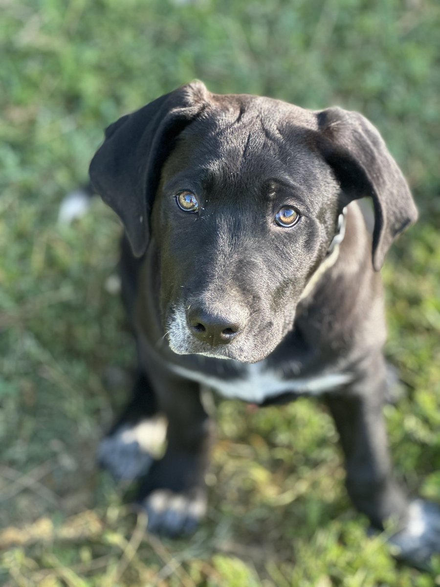 Fred J. Robledo 👨🏻‍💻 tweet media