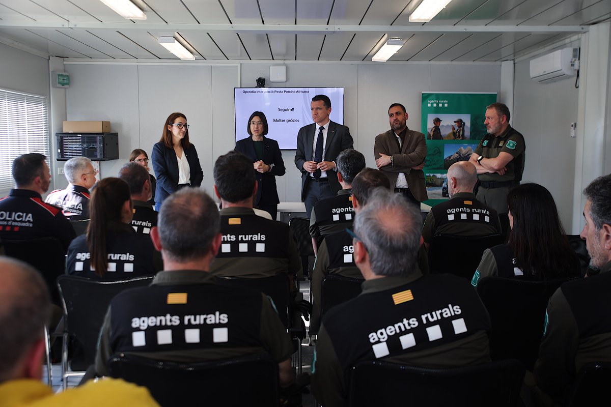 agentsruralscat's tweet photo. Avui la consellera @nuriaparlon i el conseller @oscarordeig han presentat el reforç de l'operativa de la #PPA.

✅Més efectius, noves tecnologies i més equips especialitzats.

Continuem avançant per a l’erradicació de la malaltia. https://t.co/B4g0Lz55bF