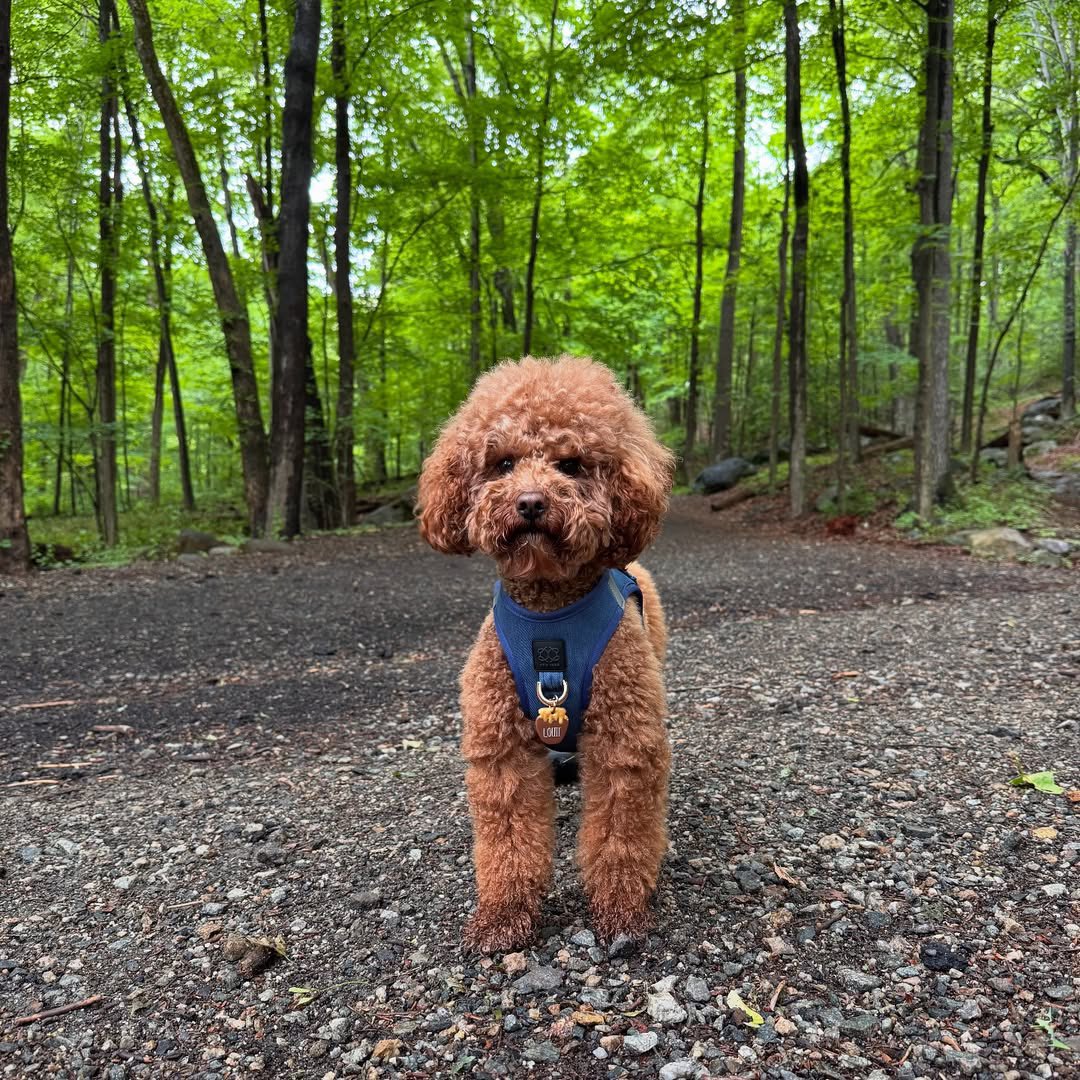 Donvibes tweet media