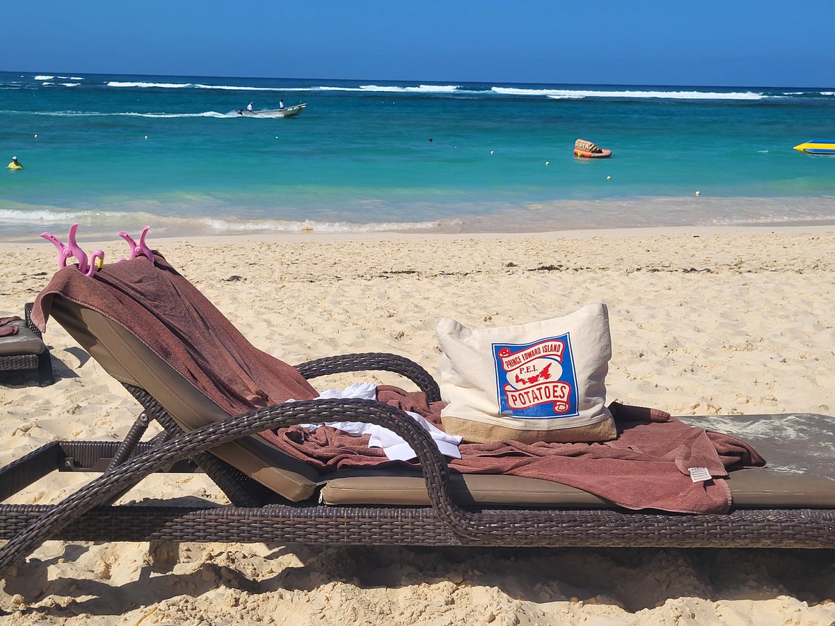 Scott Anderson tweet media