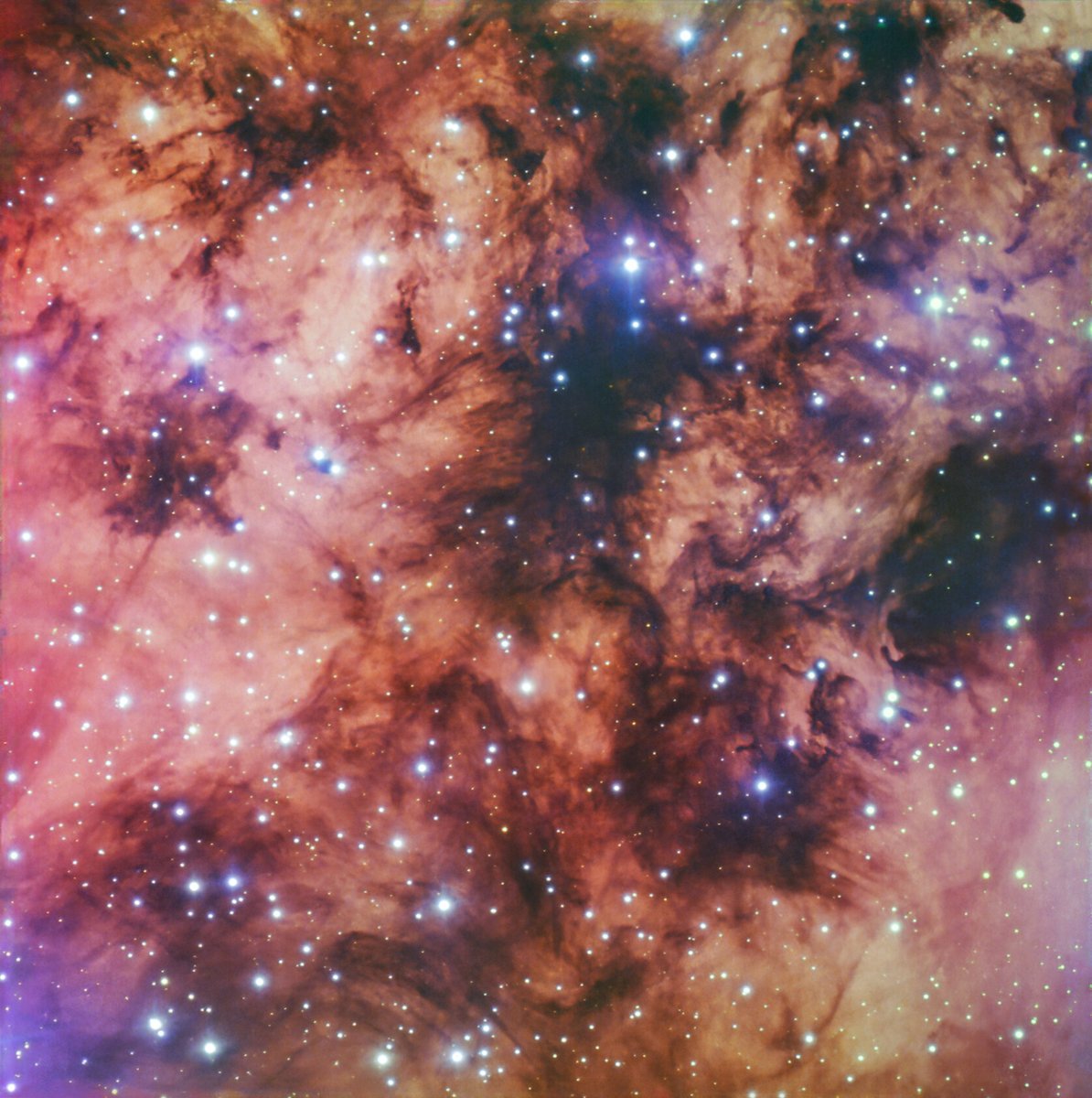 Universal-Sci tweet media