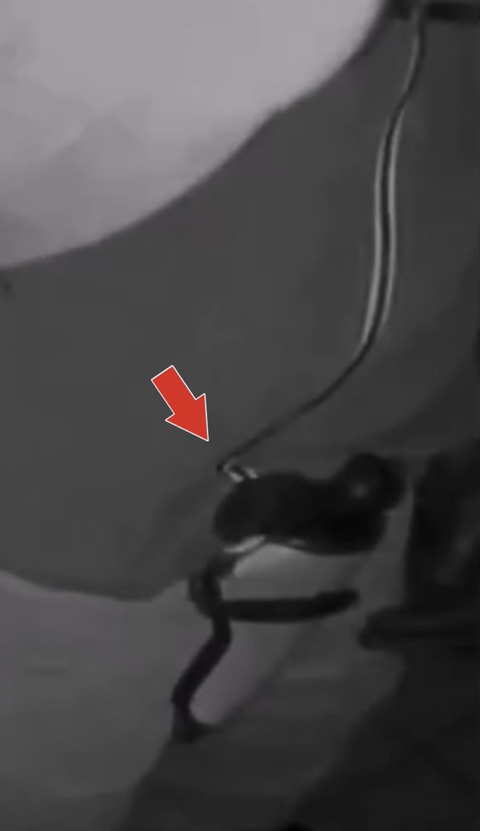 Adriienne F tweet media