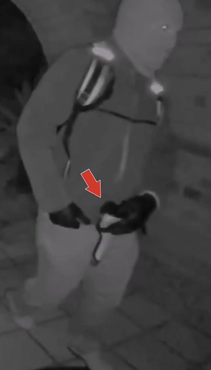 Adriienne F tweet media