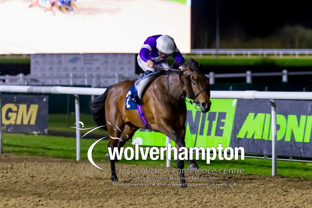 Wolverhampton Races tweet media