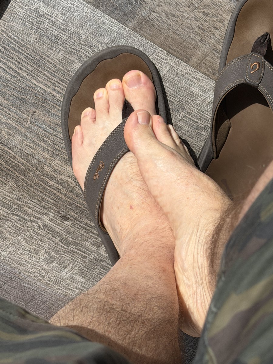 Flipflopdad tweet media