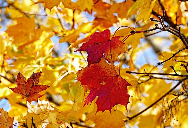 Trizzycube Dumeran tweet media