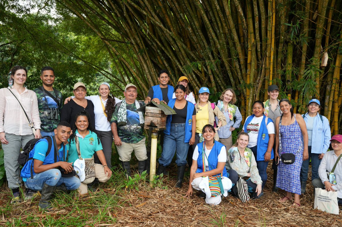 PnudColombia's tweet photo. #NaturalezaCampesina | 🌳 La Amazonía nos recuerda que no hay paz sin ambiente, ni ambiente sin paz.

En nuestro recorrido por Putumayo reafirmamos que las comunidades que protegen el bosque también están sosteniendo procesos de reconciliación, arraigo y futuro en territorios históricamente afectados por el conflicto. 

Seguiremos trabajamos justamente en esa intersección: fortaleciendo la gobernanza territorial, impulsando economías que cuidan la biodiversidad y acompañando procesos de reincorporación que encuentran en la naturaleza una vía para reconstruir vida y tejido social.

Frenar la deforestación, restaurar ecosistemas y construir paz no son agendas separadas: son la misma apuesta.

🌱 Cuidar la Amazonía es también construir paz sostenible.

@NoruegaenCOL @noradno @PNUDLAC @onucolombia @JimenaPuyana