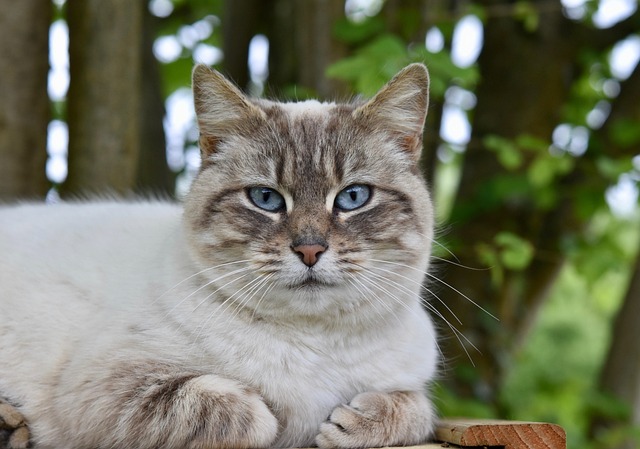 Javier Achilles tweet media