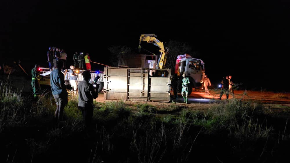 Je2003Jerome's tweet image. Good Night nature lovers 😍😍!

A successful Translocation of the rhinos to Kidepo Valley National Park. 

Well done @ugwildlife 
#Rhino