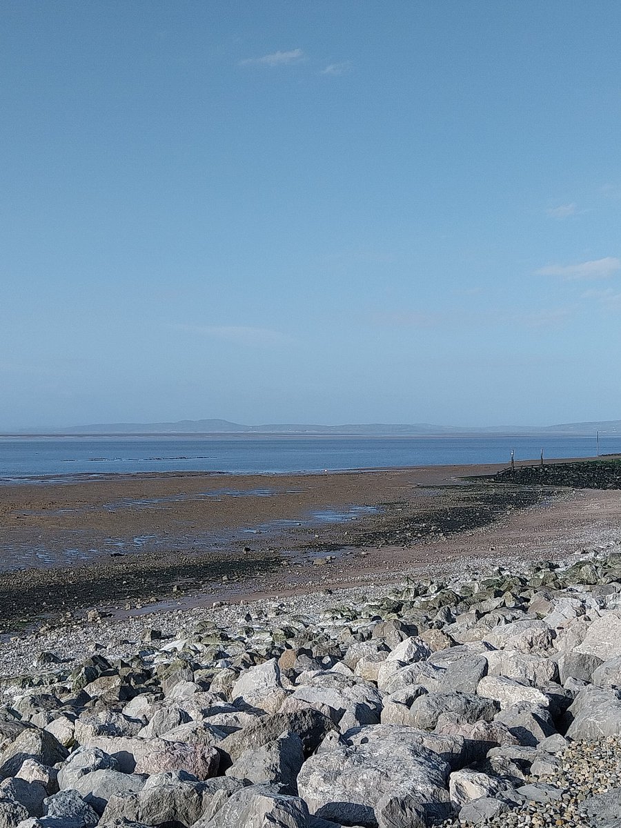 Madcrazycowboy tweet media