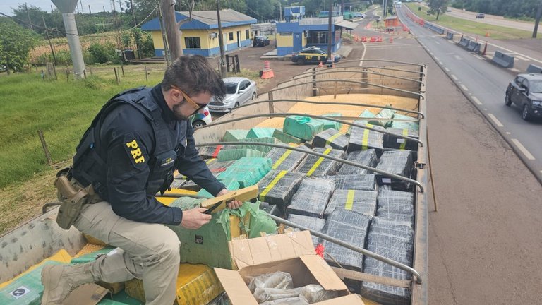 PRF Brasil tweet media