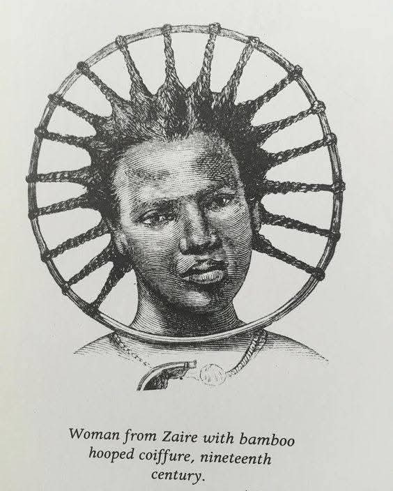 ZebraKing tweet media