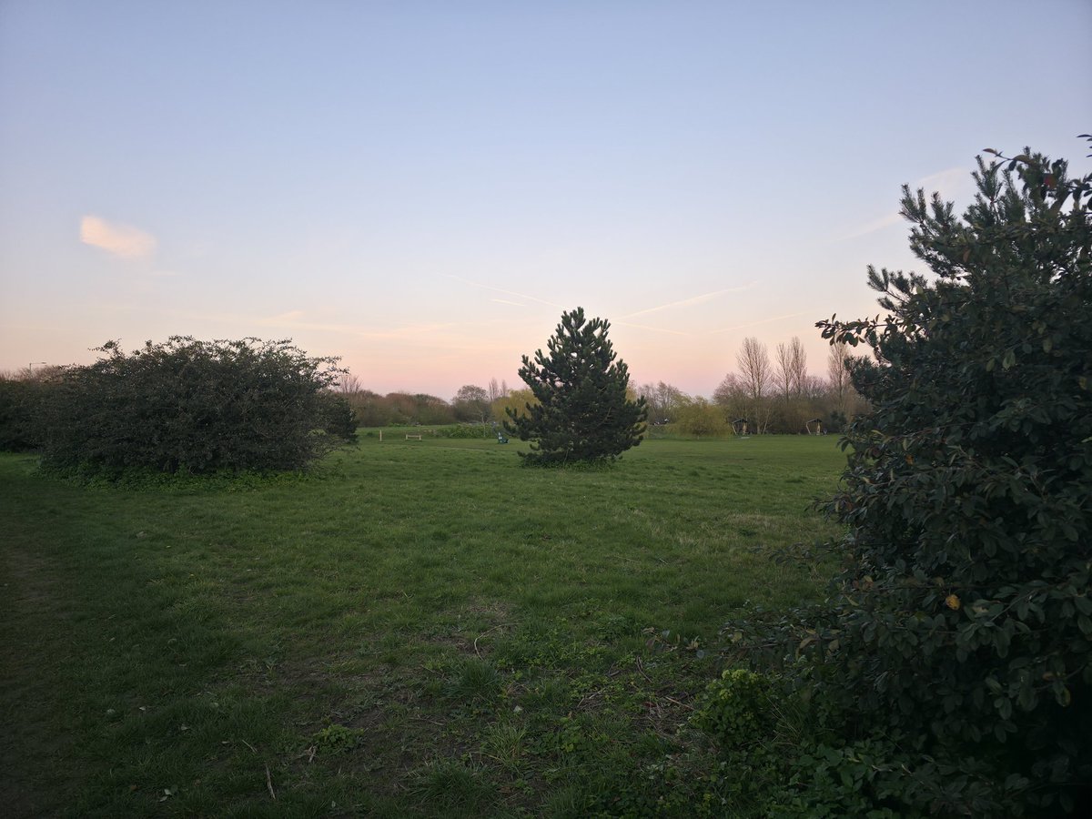 Shaun Cole tweet media