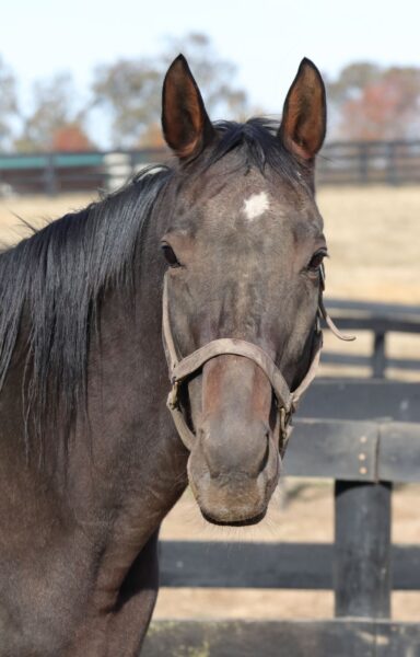 Old Friends tweet media