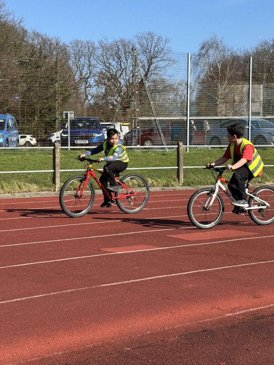 Button Lane Primary tweet media