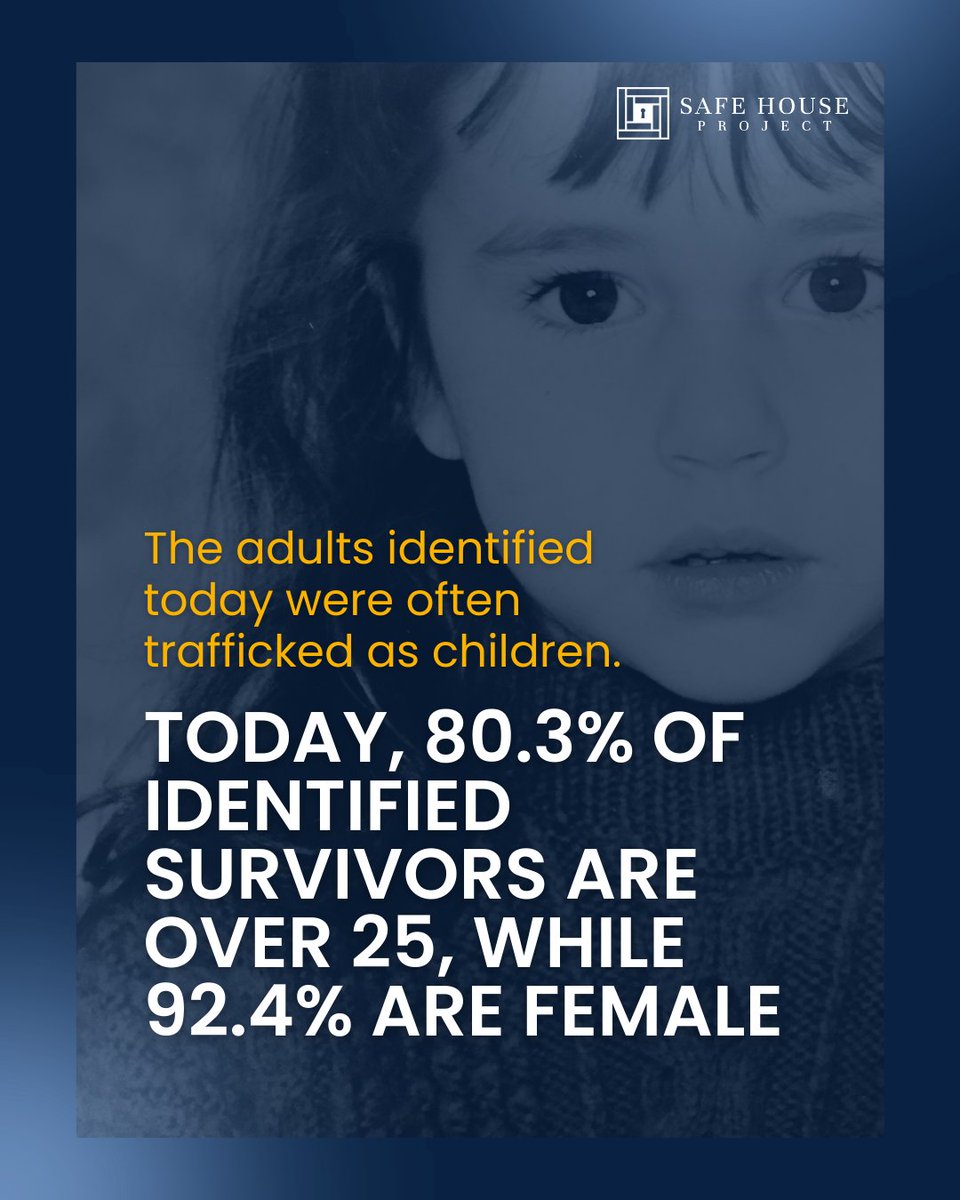 Safe House Project tweet media