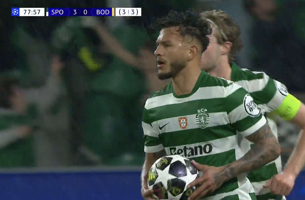 Sincerão tweet media