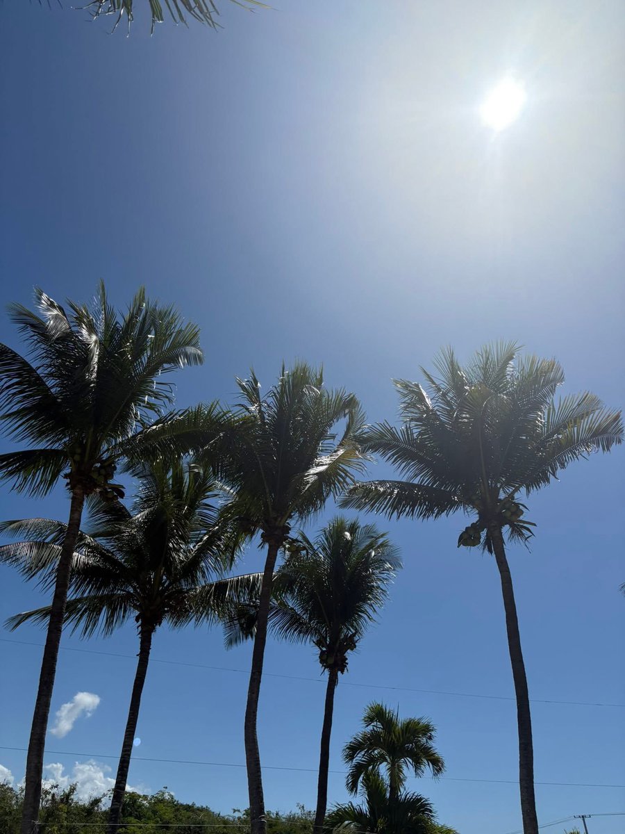 DRodNY59's tweet photo. Retired Life 🌴 https://t.co/WV7QwtoZ0t