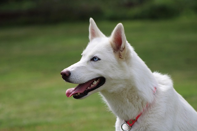 Aaron Goodwin tweet media