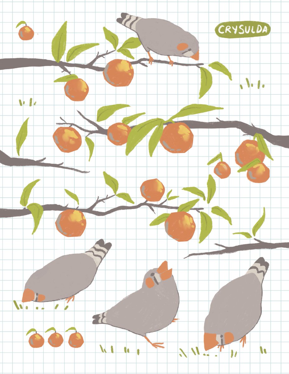 i love zeebies finchies and their orange blushies🍊(dw i love all)