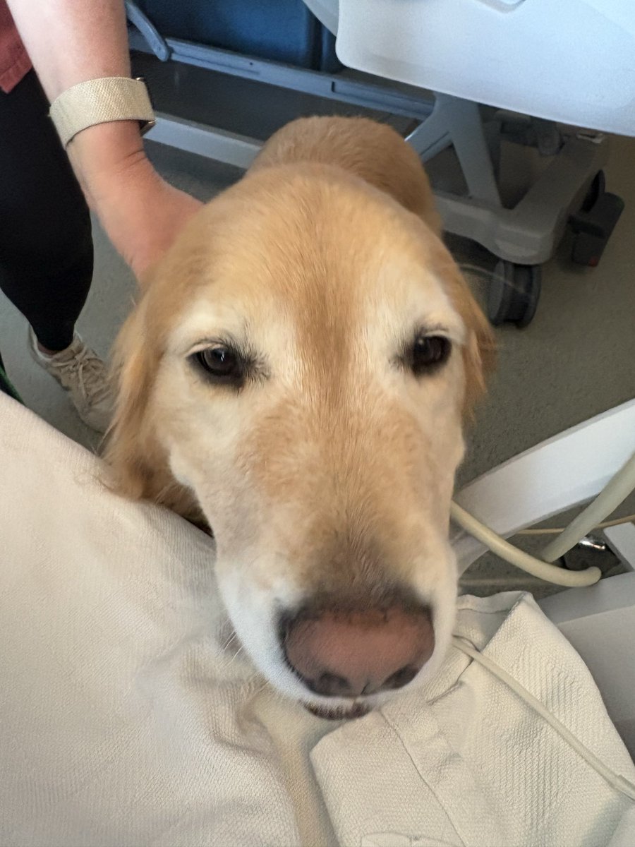 becs (STILL FUCKING IP) tweet media