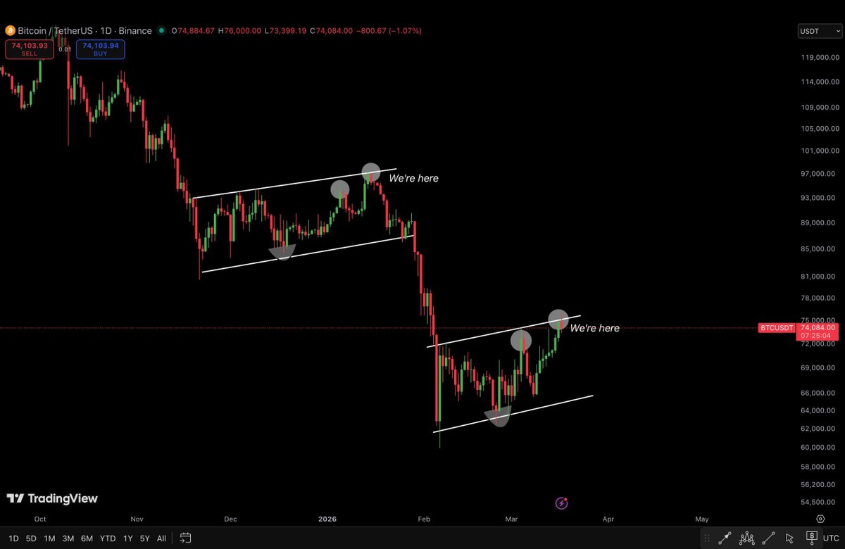 Altcoin Buzz tweet media