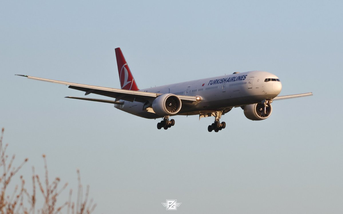 Practically Geek tweet media