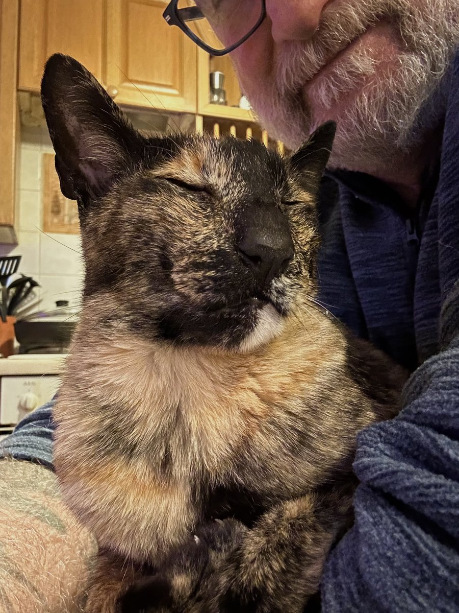 D.V. Catt tweet media