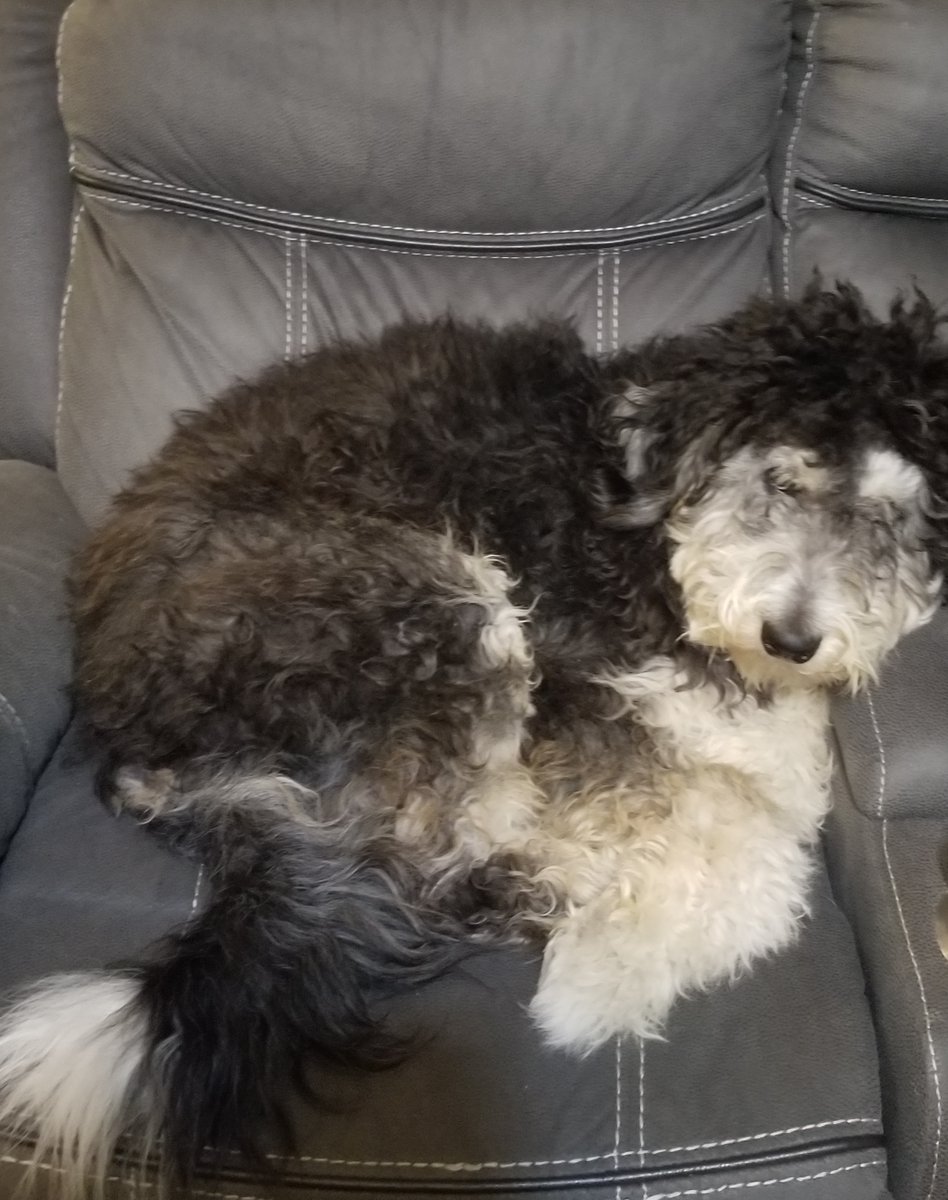 MatterOfTrust's tweet image. Hair Matters Global Hub Partners - Matter of Trust Ohio
Franey and her family live in rural Ohio. They are interested in aiding sustainable solutions. They have the space, time, and sewing machine know-how to help.
matteroftrust.org/current-satell…
#hair #HairMats #recycle #GlobalHub