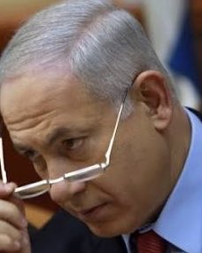 Freed Ninja tweet media