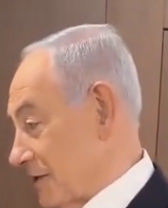 Freed Ninja tweet media