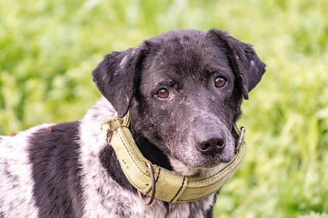 Nicole Zimmerman tweet media