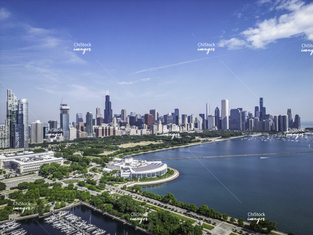 Bowtied German || 🐓 tweet media