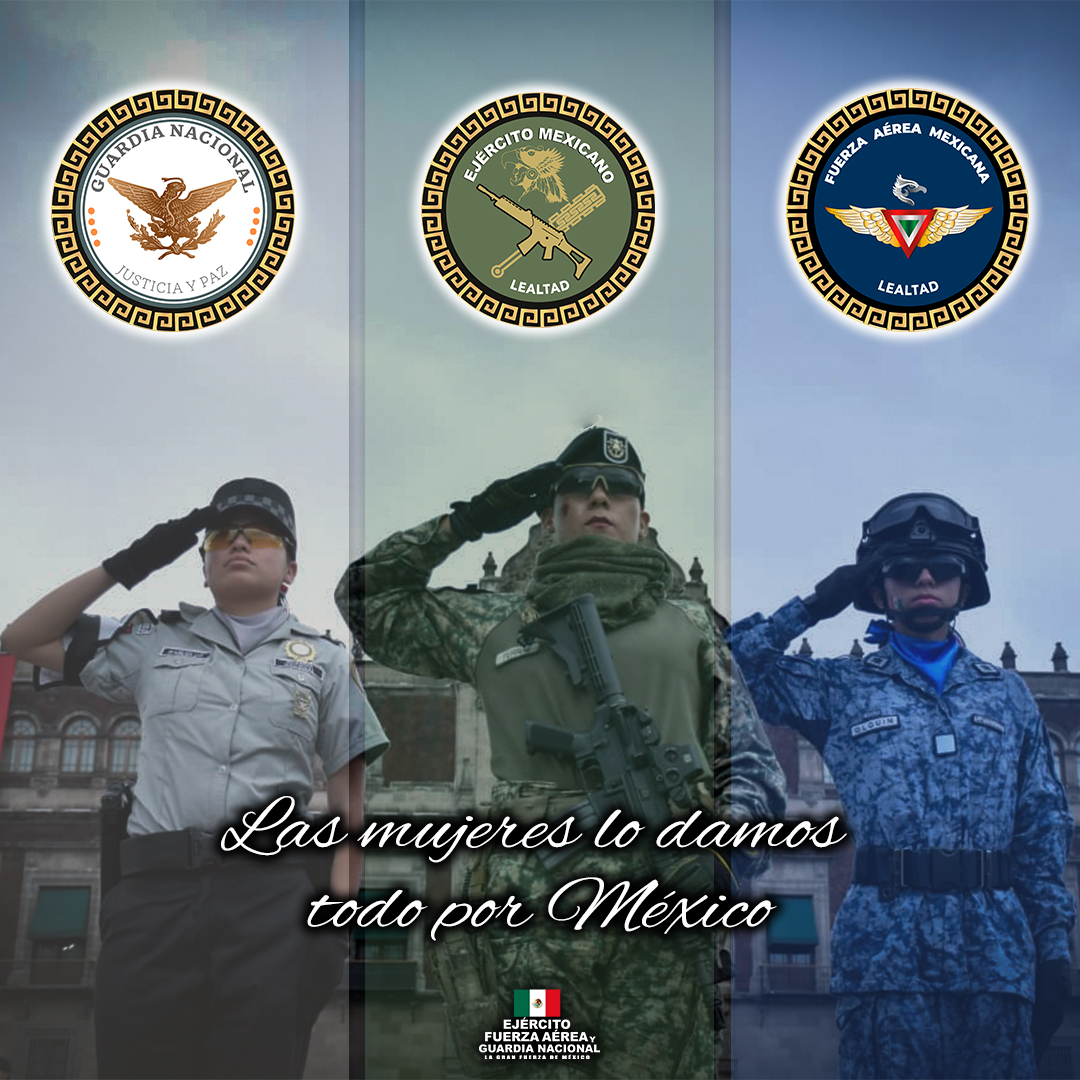 @Defensamx tweet media