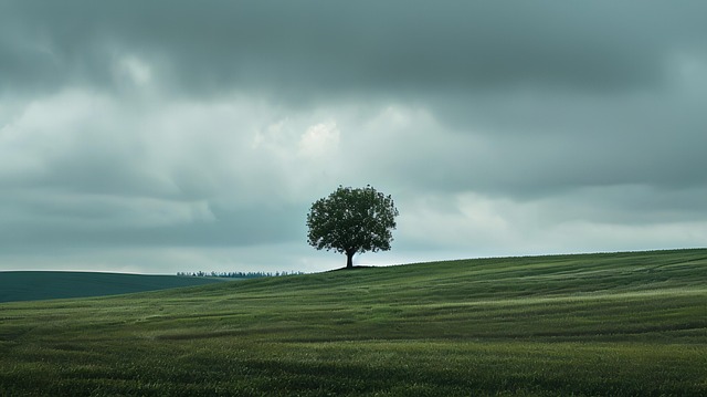 Mark Walton tweet media