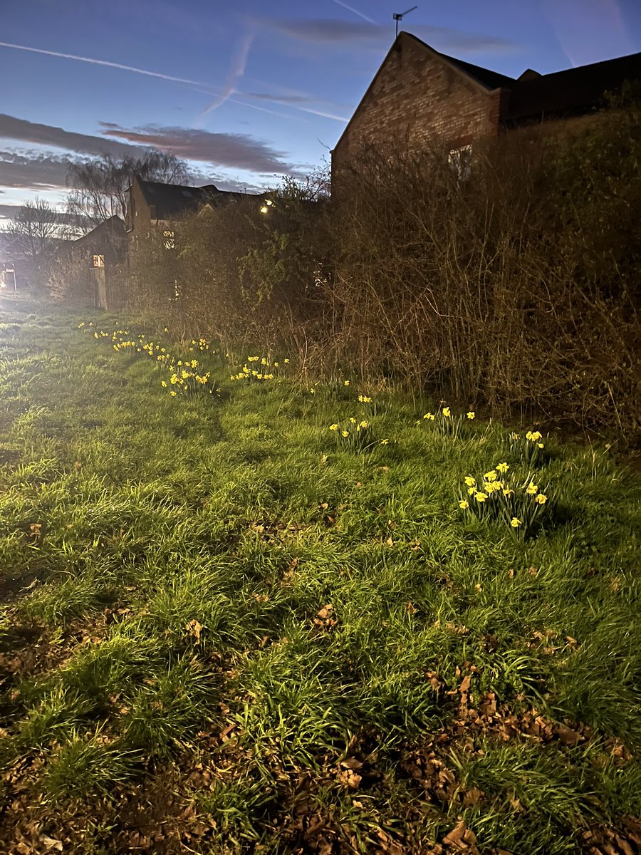 Raynes Park Lib Dems tweet media